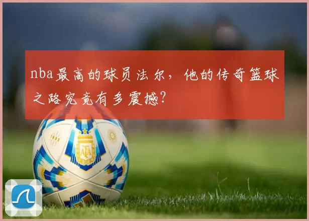nba最高的球员法尔，他的传奇篮球之路究竟有多震撼？