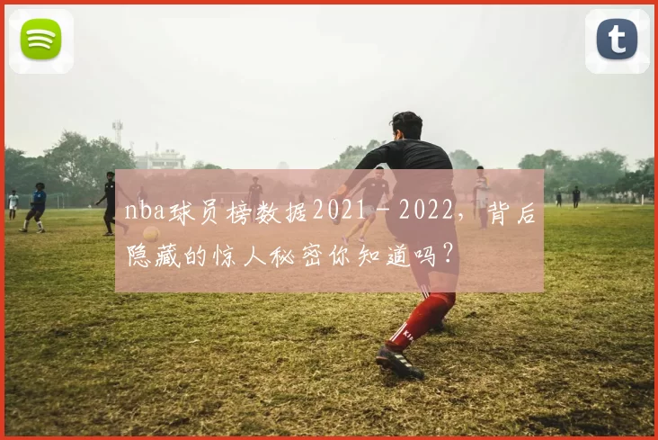 nba球员榜数据2021 - 2022，背后隐藏的惊人秘密你知道吗？