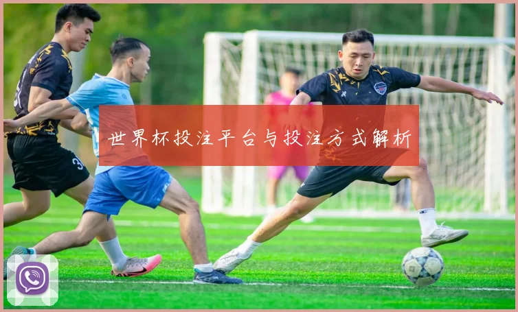 世界杯投注平台与投注方式解析