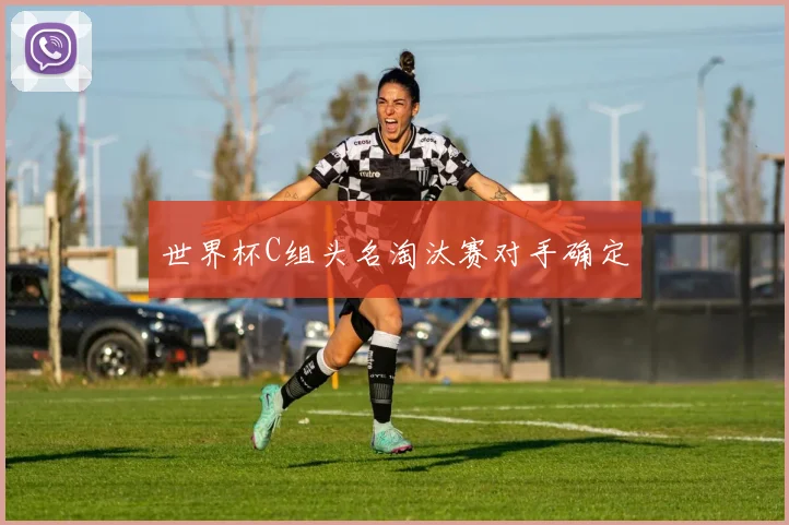 世界杯C组头名淘汰赛对手确定
