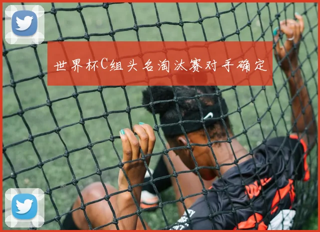 世界杯C组头名淘汰赛对手确定