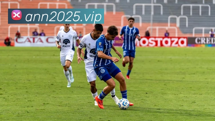 开云「中国」Kaiyun·官方网站 - 国内一流技术服务商平台生态图